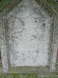 image of grave number 229226